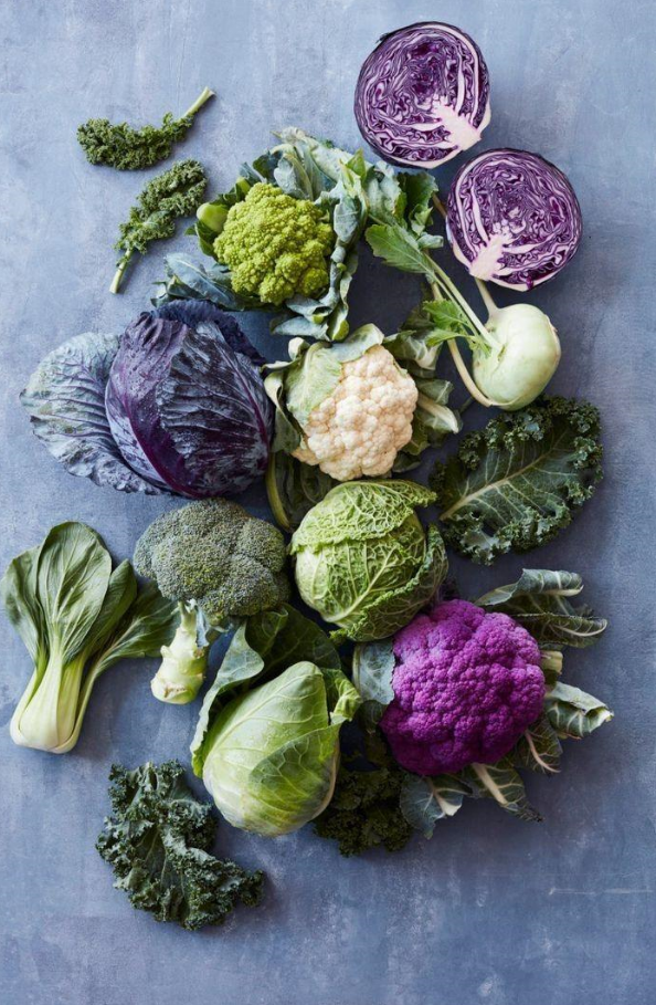 OPIFICIO EMILIANO MASTERCLASS NUTRIZIONE PER LA BELLEZZA